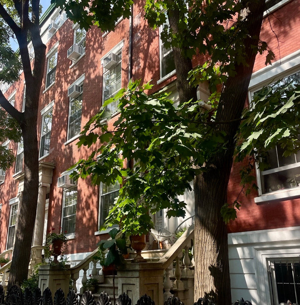 Best Thrift Shops in NYC