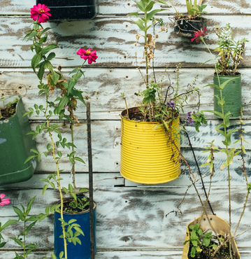 How to live more consciously and recycle better